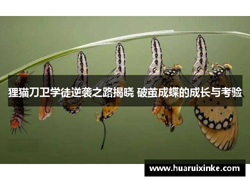 狸猫刀卫学徒逆袭之路揭晓 破茧成蝶的成长与考验