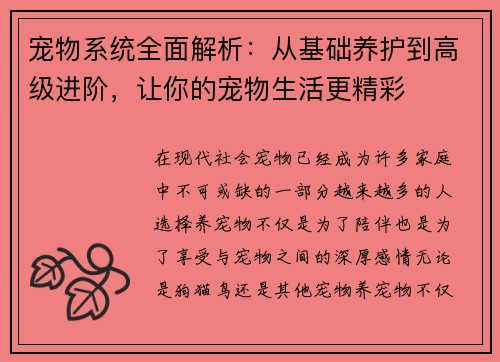 宠物系统全面解析：从基础养护到高级进阶，让你的宠物生活更精彩