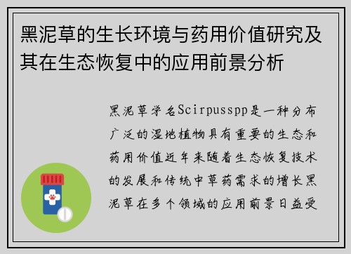 黑泥草的生长环境与药用价值研究及其在生态恢复中的应用前景分析